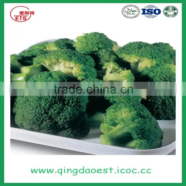 High Quality Chinese Fresh Broccoli photo-2