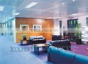T5 Fluorescent Light
