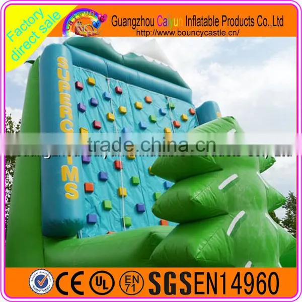 Factory Supply Inflatabel Rock Climbing Wall,backyard Inflatable Climbing Wall photo-5