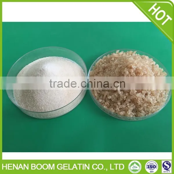 Hot Selling Hydrolyzed Gelatin Powder Made in China photo-6