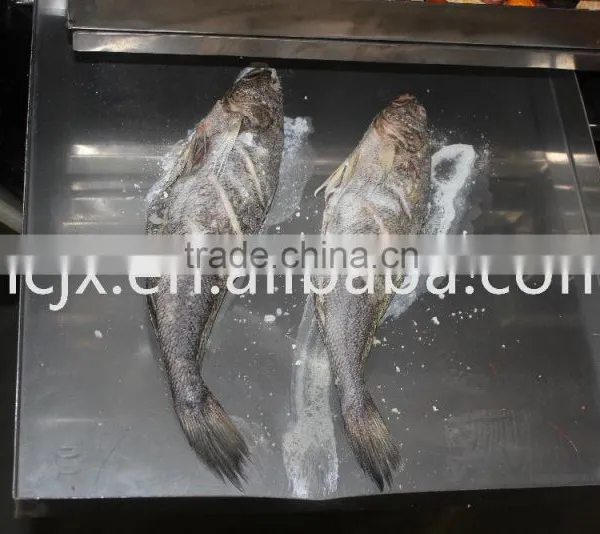 Vacuum Freeze Dryer for Food photo-5