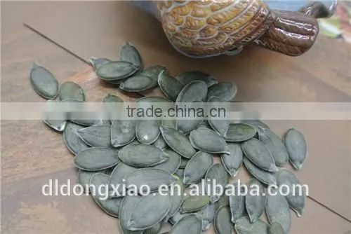 GWS Pumpkin Kernels Raw Cashew Nut Wholesale photo-3