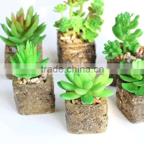 China Factory Direct Artificial Bonsai Succulents Plant Potted Palnt for Table Decortaion Home Decoration photo-2