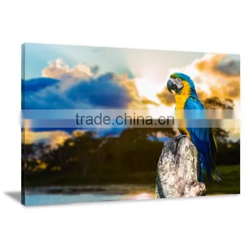 Parrot Inkjet Canvas Printing Canvas Painting Livingroom Decoration DWYS84