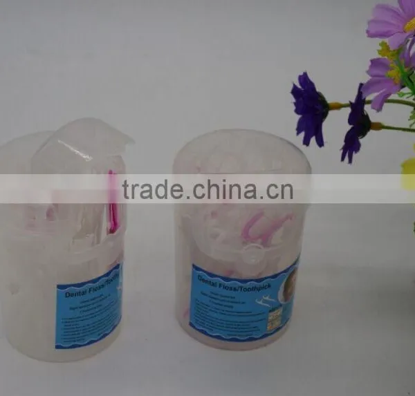 Two-pack Plastic Toothpicks in Plastic Toothpick Dispenser