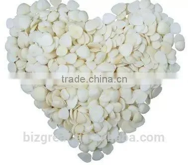 Chinese Blanched Apricot Kernels Flakes-Guangzhong Type for Sales photo-4