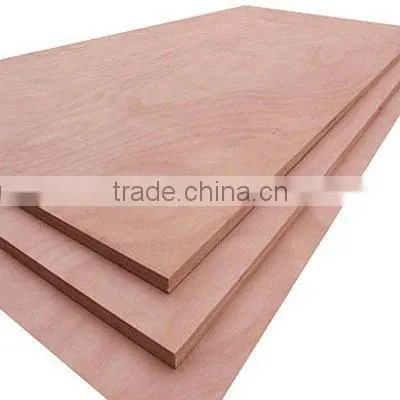 Okoume Veneer Door Skin photo-4