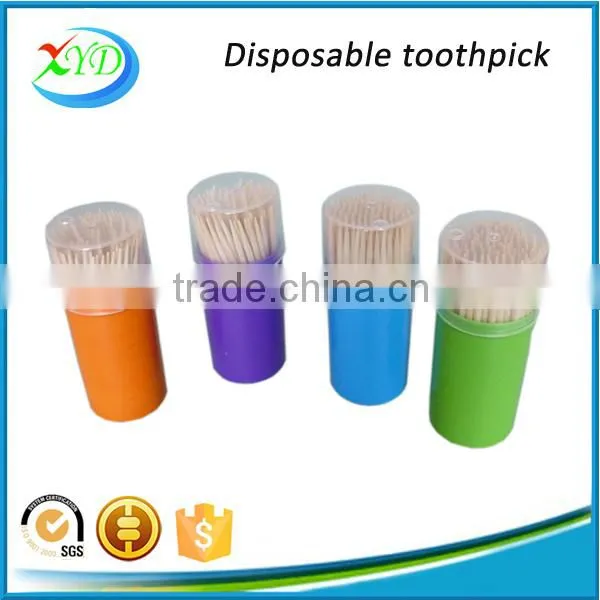 Harbin Toothpick Supplier Bamboo / Wooden Toothpicks Packed in Colorful Plastic Toothpick Bottle photo-6