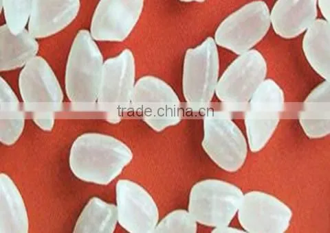 JASMINE FRAGRANT RICE (USD400-500 PER MT) photo-2