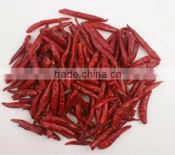 Chilli