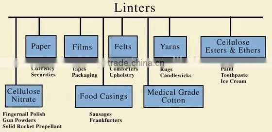 Cotton Linter photo-5