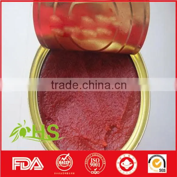 Tomato Paste in Cans and Drum photo-4