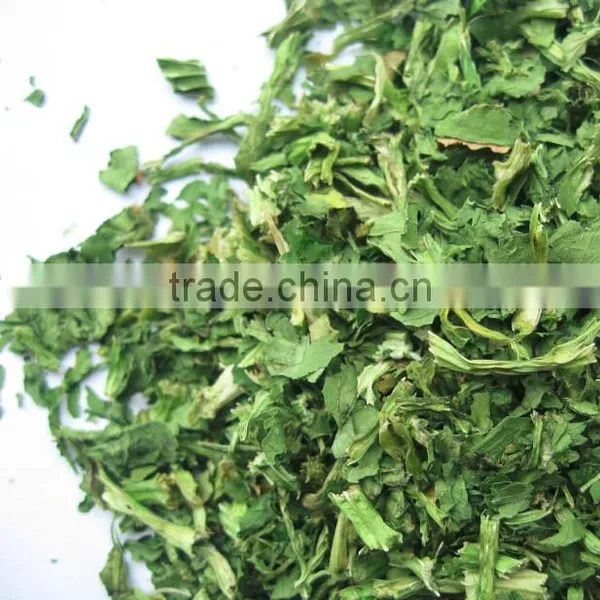 2013 New Crop Spinach Powder