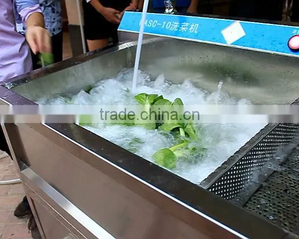 WASC-10 Stainless Steel Automatic Washing Machine,fuit and Vegetable Cleaning Machine ,vegetable Washing Machine photo-3