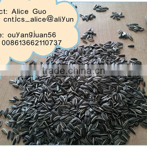 Different Types of Sunflower Seeds