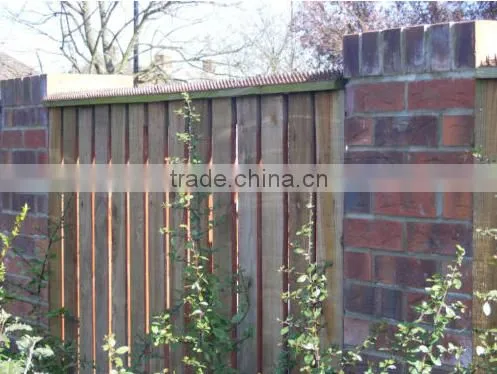 Fence Wall Spikes Anti Bird Pigeon Contorl Spike photo-2