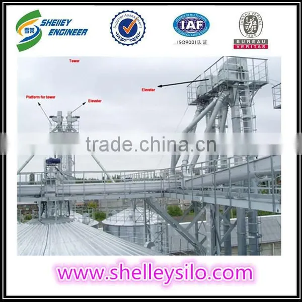 China Chain Cement Grain Vertical Bucket Elevator for Sale photo-2