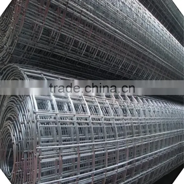 Galvanized Welded Wire Mesh / Weled Wire Mesh Factory photo-6