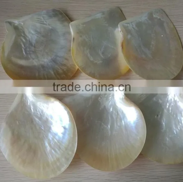 Wholesale Polished White Yellow Mother of Pearl Raw Shells photo-2