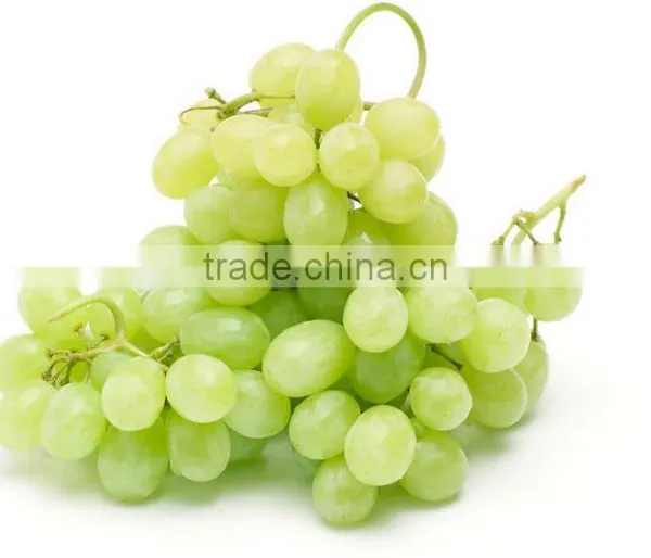 Grape Multiple Layer Continuous Type Mesh Belt Dryer photo-6
