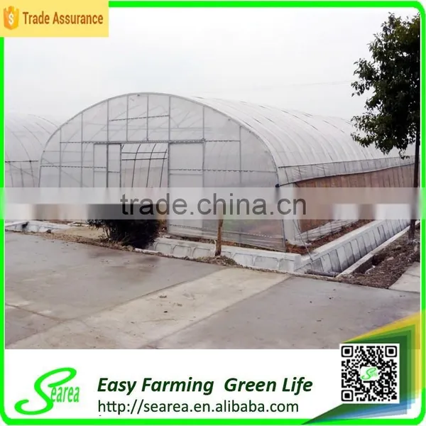 Used Galanized Steel Pipe Greenhouse for Sale photo-2
