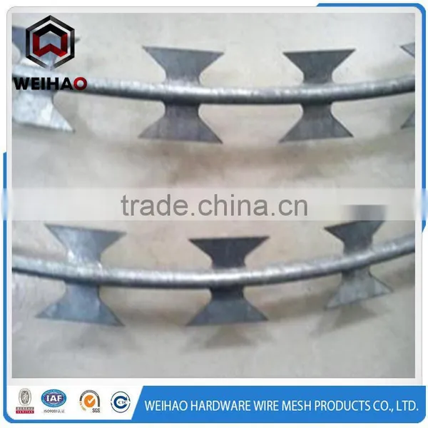 Low Carbon Steel High Quality Razor Barbed Wire photo-2