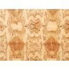 OLIVE ASH BUR
