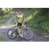 Suspension Bicycle/suspension Bike/steel Cycle