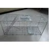 Rat Trap