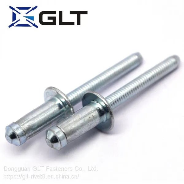 Promotional Wrought Iron Rivet Structural Rivets Remaches photo-3