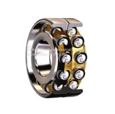 Double Row Angular Contact Ball Bearing