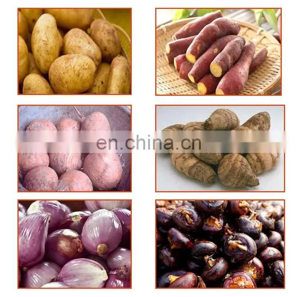 YQ-350 Electric Industrial Useful Potato Peeling Machine for Sale photo-7