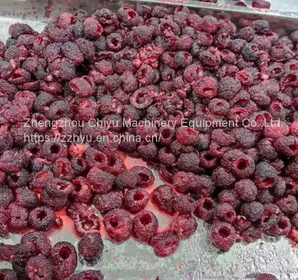 High Efficiency Automatic Fruit Pitting Machine Cherry Pitter Olive Pitter Machine for Fruit Processing Plants photo-3