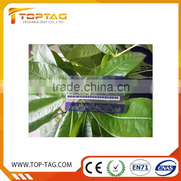 Cheap Transparent Business Card With Gold Stamping photo-6