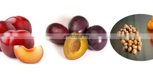 Apple Coring Machine Apple Nucleation Machine photo-5