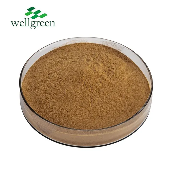 Mint Extract Natural Peppermint Extract Powder Menthol 99% Peppermint Extract photo-2