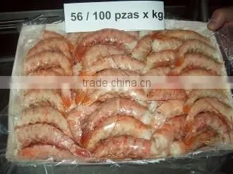 Frozen Argentine Red Shrimp - Whole or Tails photo-4