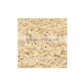 High Quality Delicious Healthy White Sesame Seeds