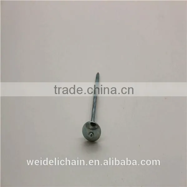 Supply Good Quality Umbrella Head Roofing Nails photo-3