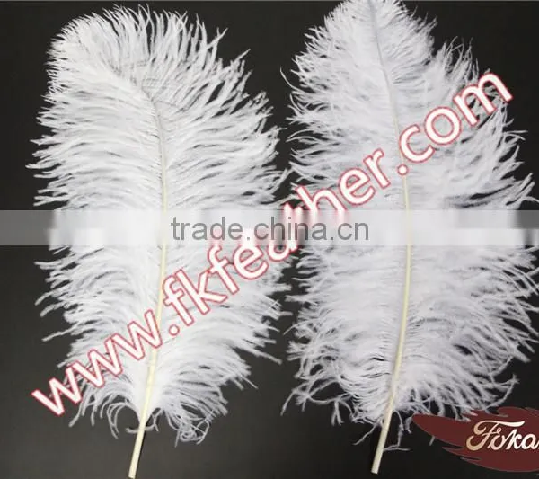Large White Ostrich Feather Long 50cm-55cm Wedding And Stage Decorations photo-4