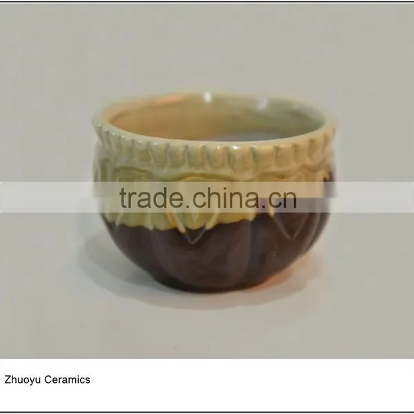 Ceramic Garden Pot for Succulent Plant