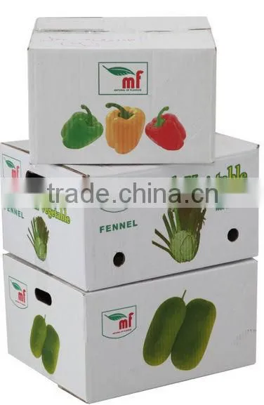 5 Colours Printing Carton Box for Apple Fruit Packaging Box Factory Prices photo-5