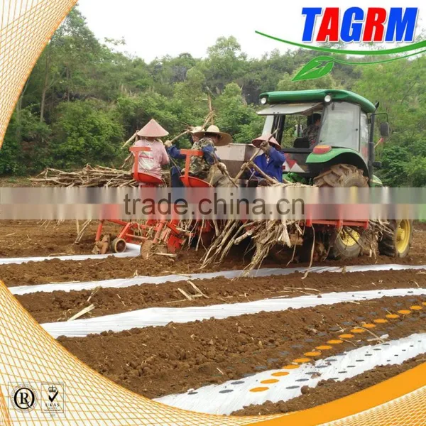 Automatic Sugarcane Seed Planting Machine/sugarcane Planter/sugarcane Planting Machine 2CXZ-2 photo-2
