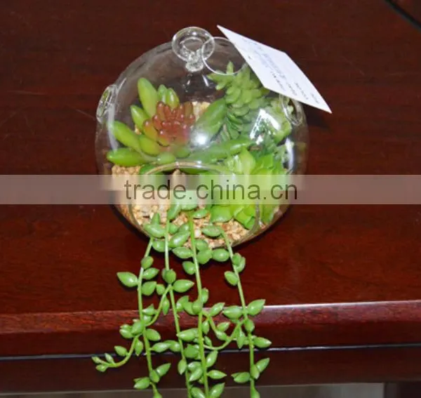 CIA 2016 New Design High Quality Artificial Succulent Plants Mini Succulent Plant photo-5