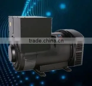 Brushless ac Synchronous Alternator/generator photo-3