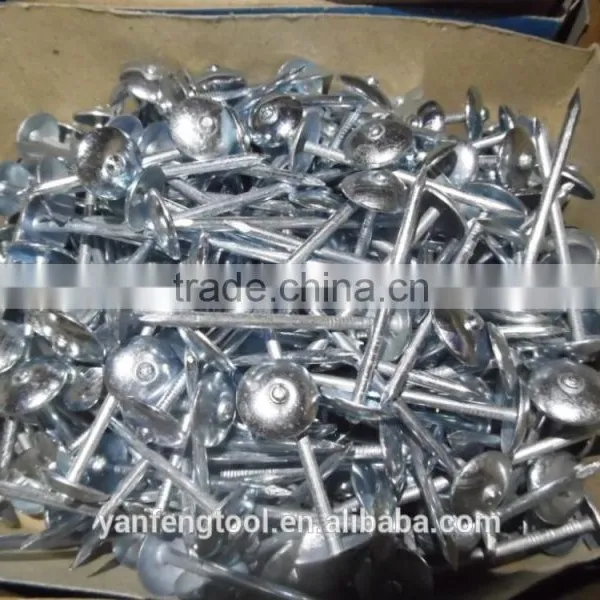 Hot Sale Umbrella Head Roofing Nails From Direct Factory photo-3