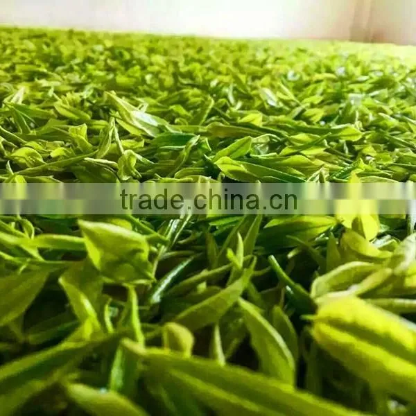 Health Chinese Aluminum Foil Bag Green Tea photo-2