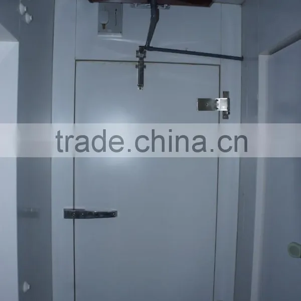 Cold Room Polyurethane Hinged Doors photo-3