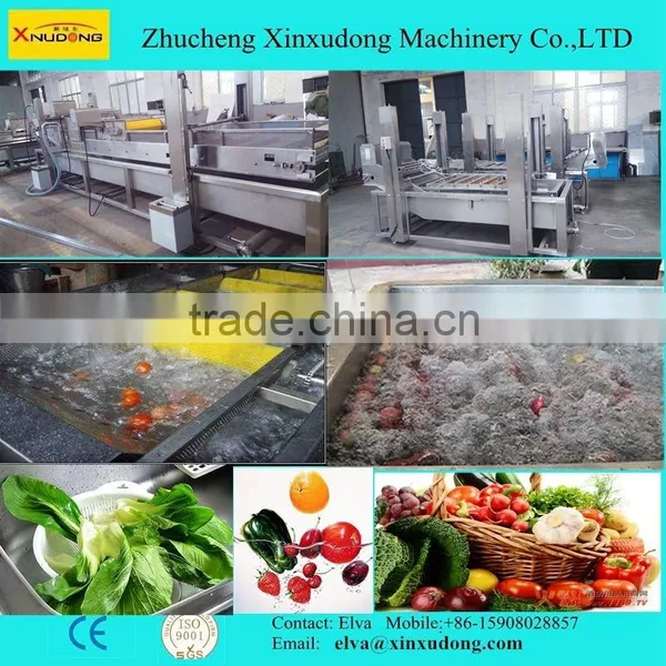 Automatic Vegetable Fruit Processing Line; Machinery for Vegetable Fruit