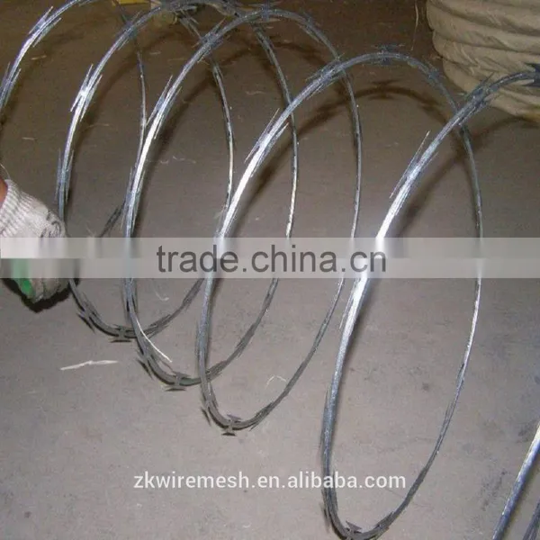 Razor Barbed Wire(factory) photo-2
